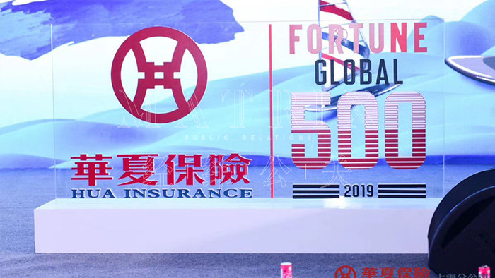 华夏保险组织发展峰会现场图
